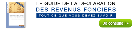 Le guide de la d&eacute;claration des revenus fonciers 2010
